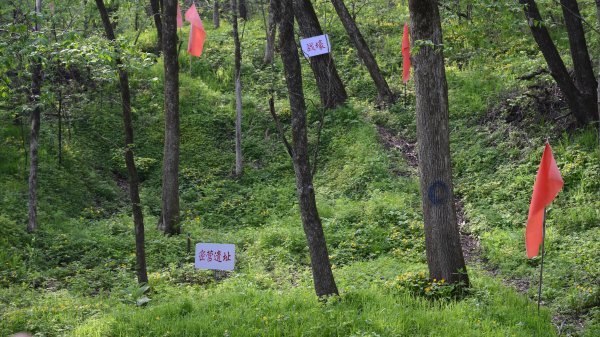 金来源 铭记历史 缅怀先烈|白山黑水见证：从烽火硝烟到振兴热土的巨变