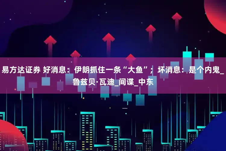 易方达证券 好消息：伊朗抓住一条“大鱼”；坏消息：是个内鬼_鲁兹贝·瓦迪_间谍_中东