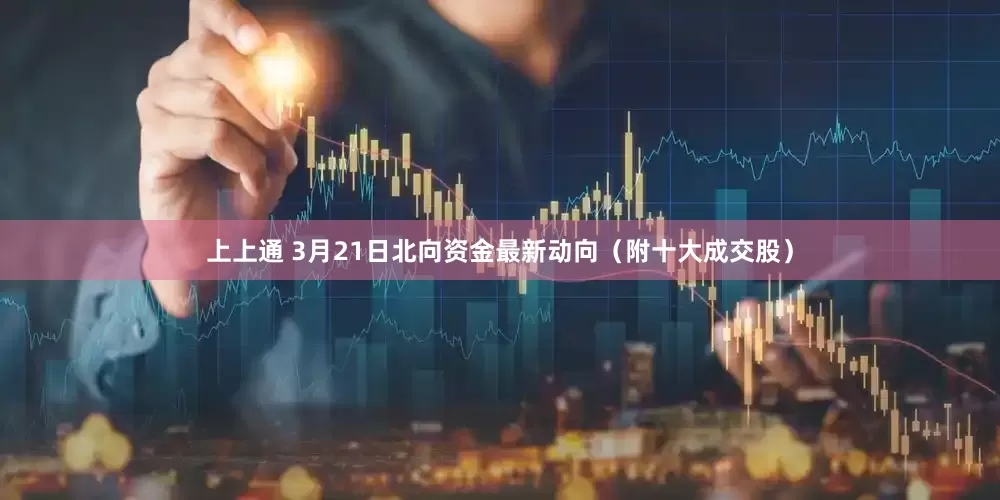 上上通 3月21日北向资金最新动向（附十大成交股）