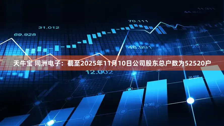 天牛宝 同洲电子：截至2025年11月10日公司股东总户数为52520户